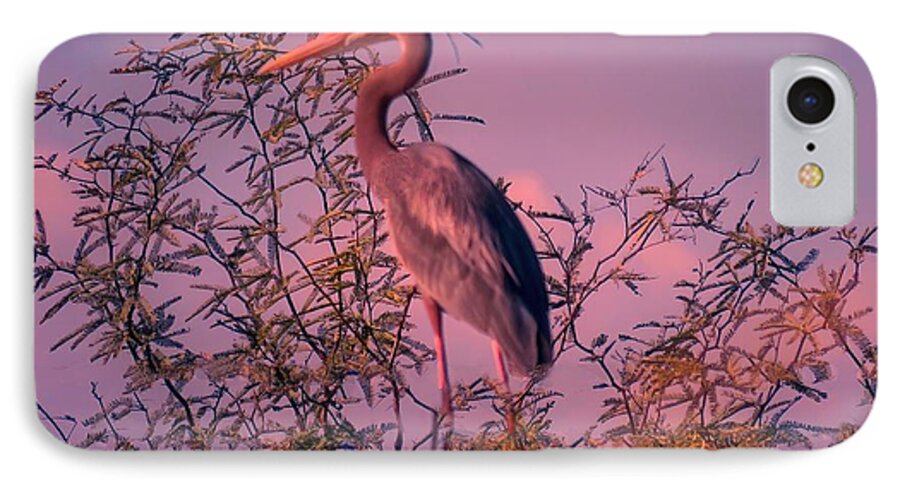 Arizona iPhone 8 Case featuring the photograph Great Blue Heron - Artistic 6 by Judy Kennedy
