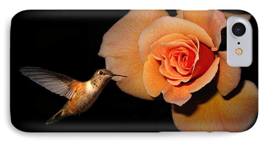 Bird iPhone 8 Case featuring the photograph Hummingbird and Orange Rose by Joyce Dickens