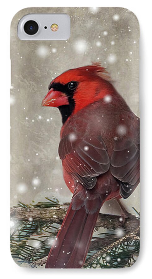 Bird iPhone 8 Case featuring the photograph Male Cardinal in Snow #1 by Patti Deters