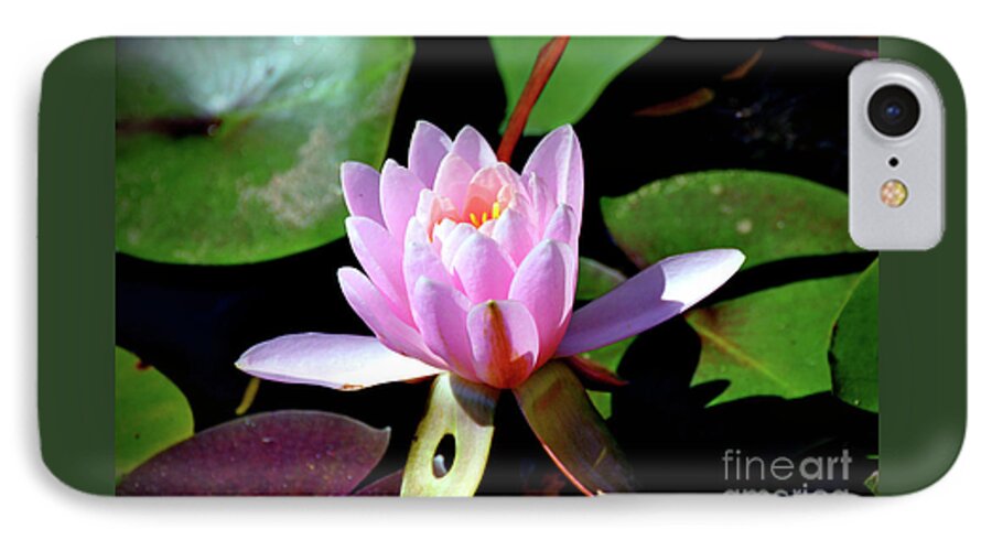  iPhone 8 Case featuring the photograph Pink Lotus by Savannah Gibbs