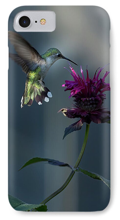 Hummingbird iPhone 8 Case featuring the photograph Smiles in the Garden by Everet Regal