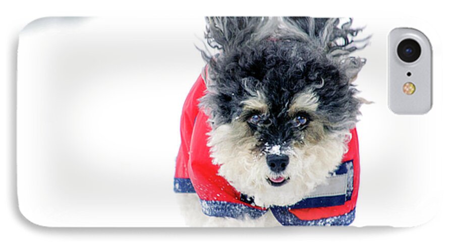 Dog iPhone 8 Case featuring the photograph Snow Charge by Keith Armstrong