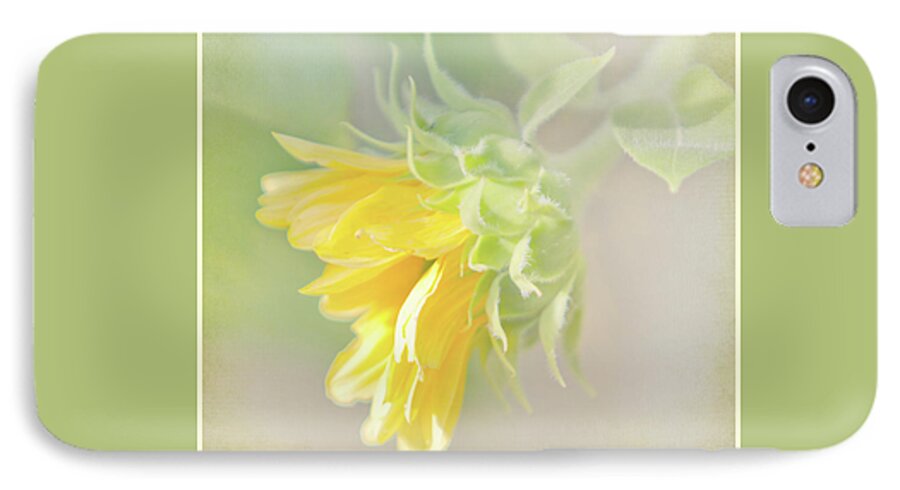 Sunflower iPhone 8 Case featuring the photograph Soft Yellow Sunflower Just Starting to Bloom by Patti Deters