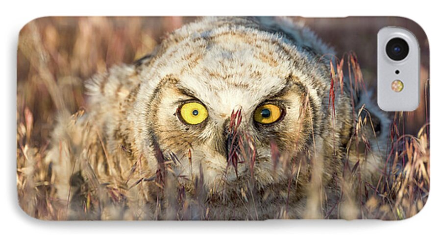 Owl iPhone 8 Case featuring the photograph Incognito by Scott Warner