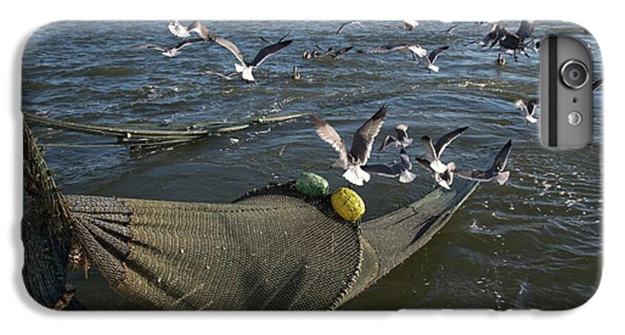 Net iPhone 8 Plus Case featuring the photograph Shrimp Fishing #8 by Jim West