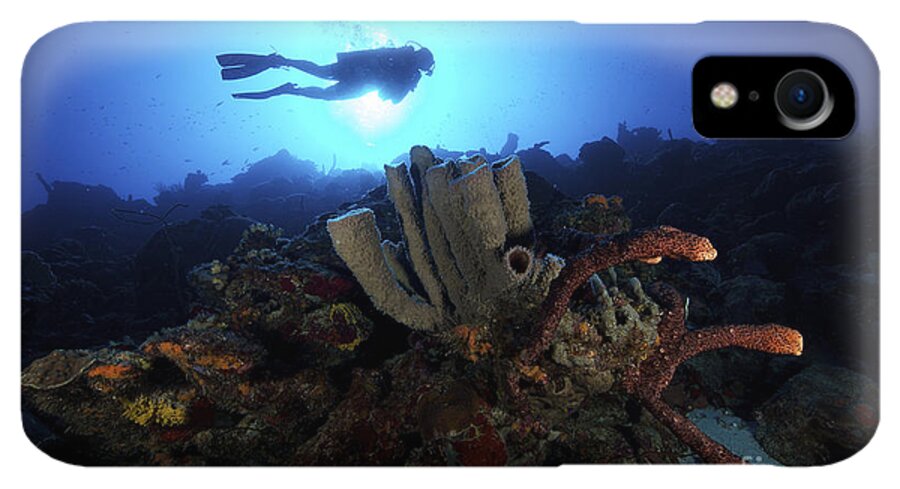 Scuba Diver Swims By Some Large Sponges #2 iPhone 13 Case by Terry Moore -  Pixels