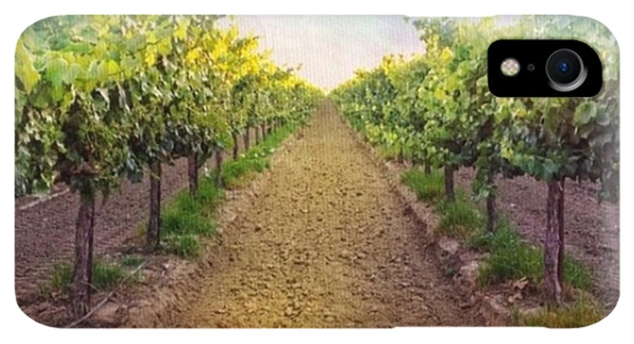 Vineyard iPhone XR Case featuring the photograph Old #vineyard Photo I Rescued From My by Shari Warren
