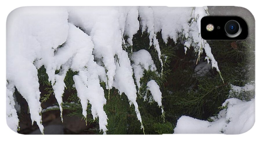 Snow Layer on Evergreen Branches iPhone XR Case by Susan Brown - Pixels