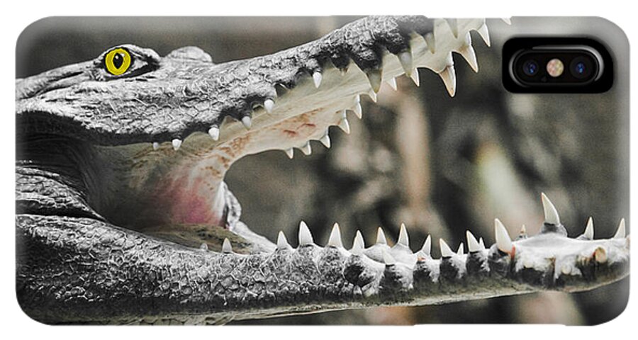 Croc IPhone XS Max Case featuring the photograph Croc's Shiny Whites by Rich Collins