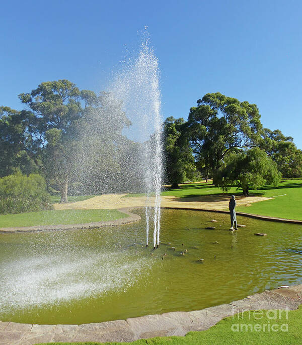 Pioneer Women's Fountain Poster featuring the photograph Pioneer Women's Fountain - Kings Park - Perth - Australia by Phil Banks