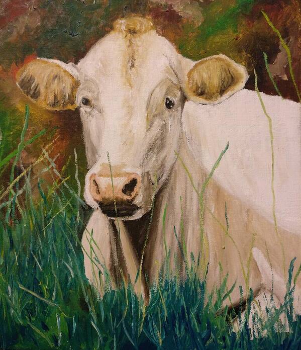 Cow Poster featuring the painting Contentment by Abbie Shores