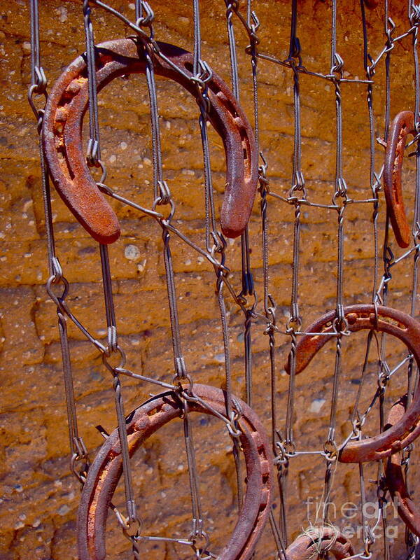 Cathy Dee Janes Poster featuring the photograph Barbed by Cathy Dee Janes