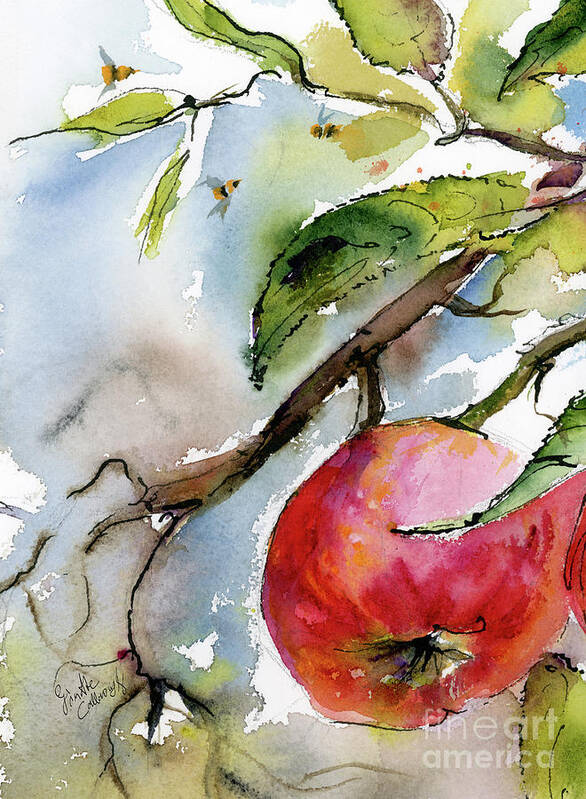 Apples Poster featuring the painting Red Apple and Bees by Ginette Callaway