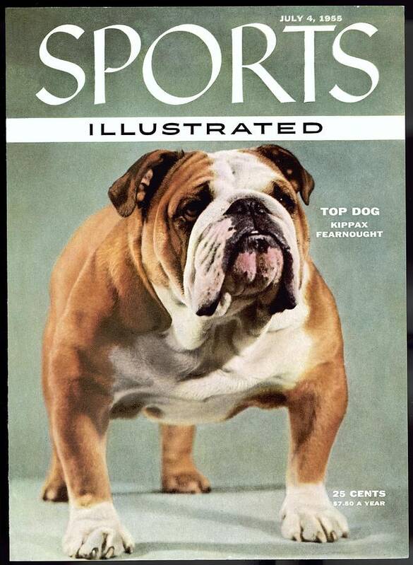 1950-1959 Poster featuring the photograph Kippax Fearnought, 1955 Westminster Kennel Club Dog Show Sports Illustrated Cover by Sports Illustrated