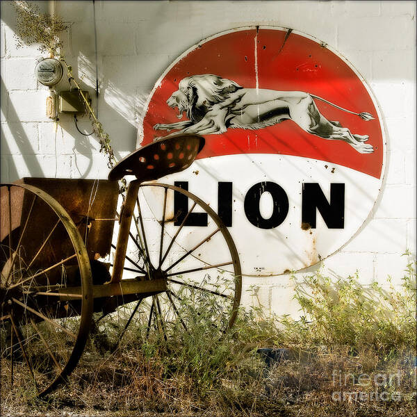 Lion Oil Poster featuring the photograph The Lion and the Chariot by T Lowry Wilson