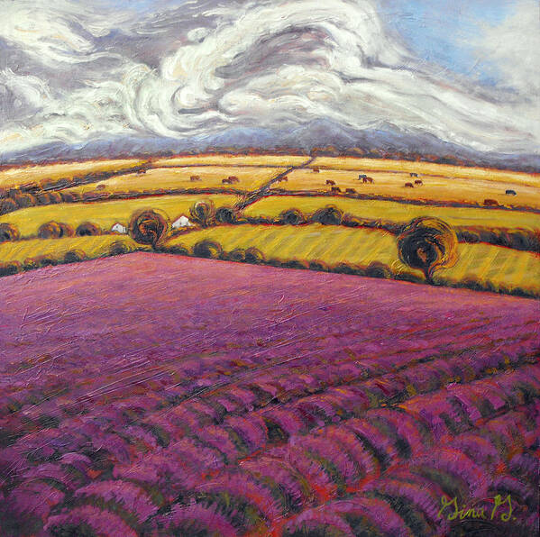 Oil On Panel Poster featuring the painting Colorado Lavender Country by Gina Grundemann