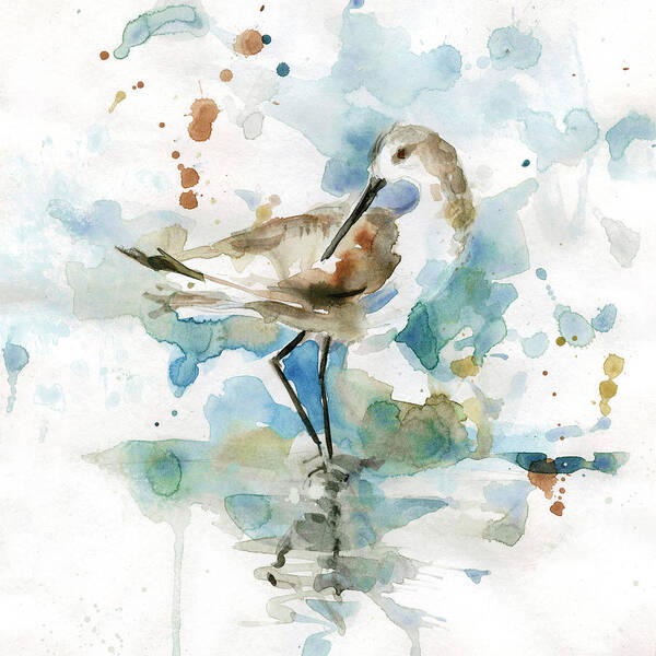 Beach Coastal Bird Sandpiper Teal Brown Waterclor Poster featuring the painting Coatal Sandpiper 2 by Carol Robinson