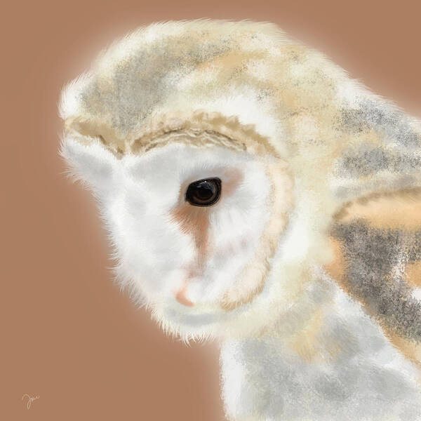 Owl Poster featuring the painting Pensive Barn Owl by Tara Appling