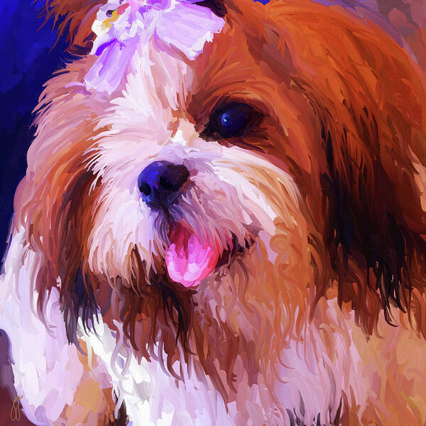 Shih Tzu Poster featuring the painting Shih Tzu - Square by Jai Johnson