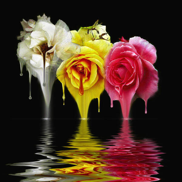 Flowers. Roses Poster featuring the digital art Tears of Roses by Gordon Engebretson