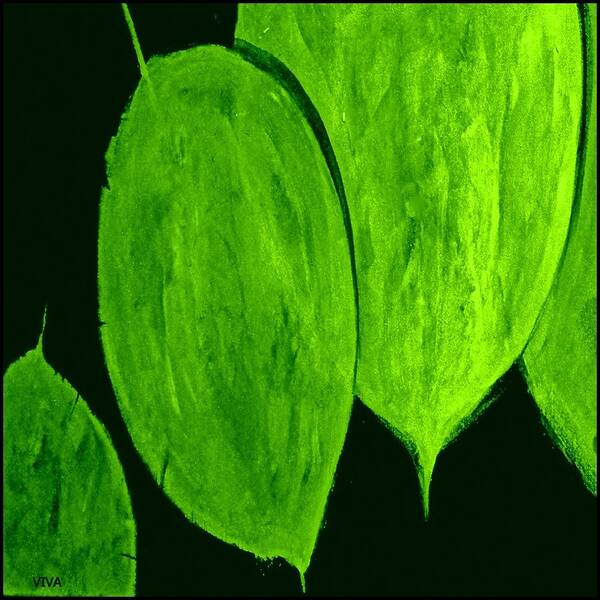 Green Leaves Poster featuring the painting Green Leaves Study Painterly by VIVA Anderson