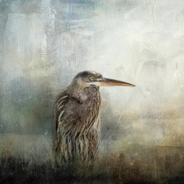 Blue Heron Poster featuring the photograph Hiding In The Reeds by Jai Johnson
