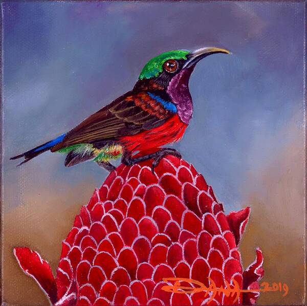Birds Poster featuring the painting Purple Throated Sunbird on Red Torch Ginger by Dana Newman
