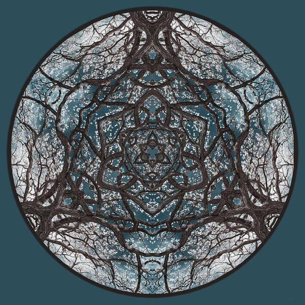 Celtic Poster featuring the photograph CeltOak Creation - Celtic trinity knot triquetra vibes evoked by kaleidoscopic view of an oak tree by Peter Herman