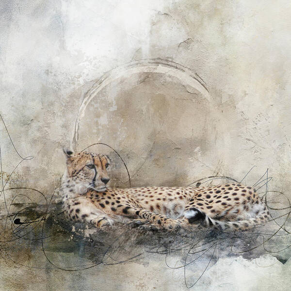 Cheetah Poster featuring the photograph Exhaustion by Jai Johnson