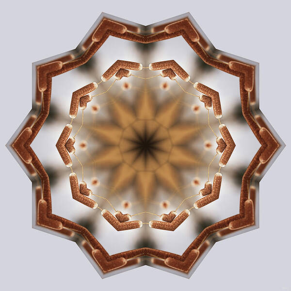 Cattail Poster featuring the photograph CattailiattaC- Kaleidoscope Mandala of Cattail pair by Peter Herman