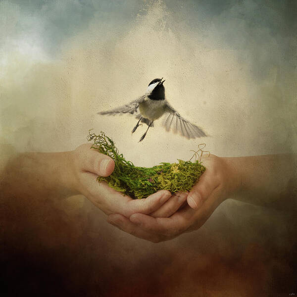 A Bird In The Hand Poster featuring the photograph Leap of Faith Chickadee A Bird In The Hand by Jai Johnson
