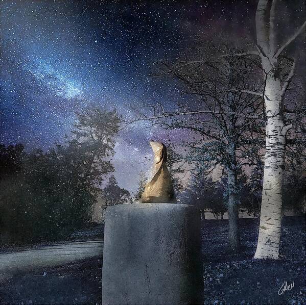 Deb Zeller Poster featuring the digital art Pippin In The Moonlight by Glenn Galen