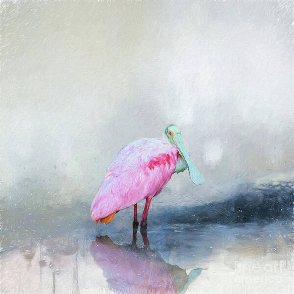 Roseate Spoonbill Poster featuring the digital art Pop of Pink by Jayne Carney