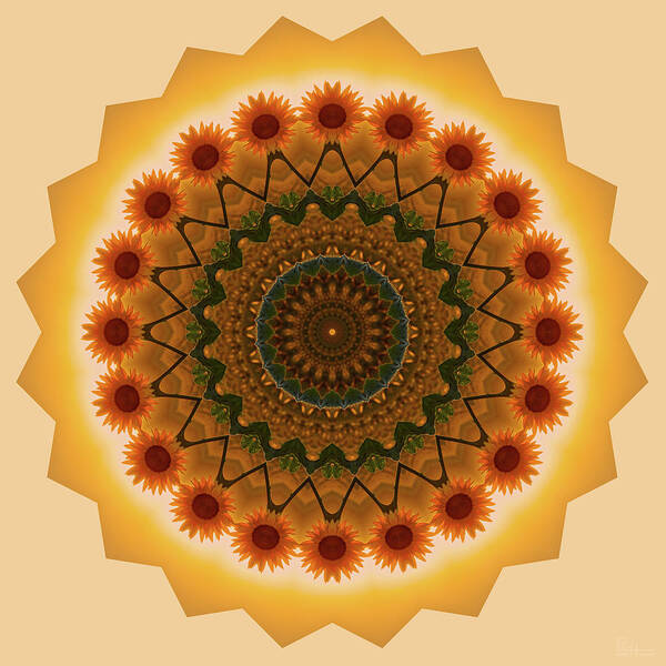 Sunflower Poster featuring the photograph Sunflower Mandala #1 - kaleidoscopic view of sunflower by Peter Herman