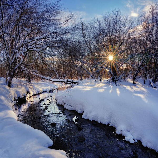 Snowscape Poster featuring the photograph Watery Winterscape - Snow-frosted Anthony Branch creek in WI by Peter Herman