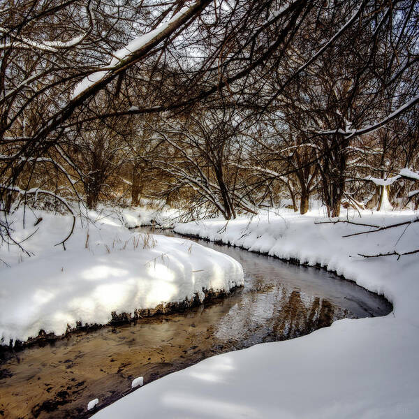 Creek Poster featuring the photograph Winter Wonderland - Anthony Branch creek near Stoughton Wisconsin by Peter Herman