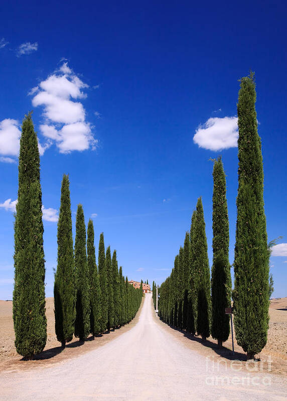 Idyllic Poster featuring the photograph Entrance to villa Tuscany - Italy by Matteo Colombo