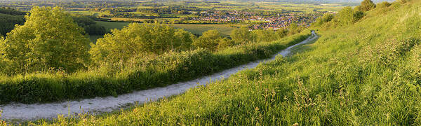 Chalk Poster featuring the photograph Chalk Path to Steyning by Hazy Apple