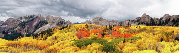 Fall Poster featuring the photograph My Pretty by Elin Skov Vaeth