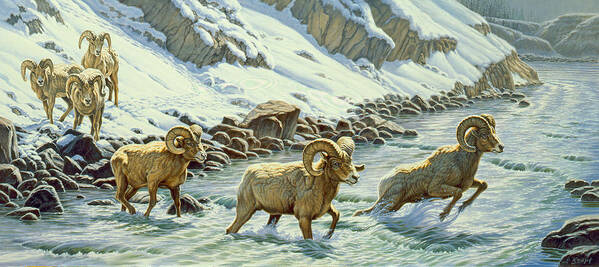Wildlife Poster featuring the painting The Crossing - bighorn by Paul Krapf
