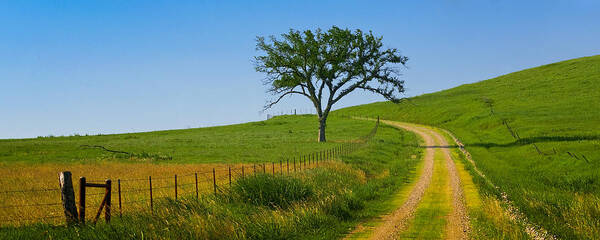 Bule Poster featuring the photograph Country Road by Ryan Heffron