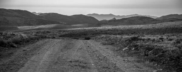 Desert Poster featuring the photograph Desert Road by Ryan Heffron