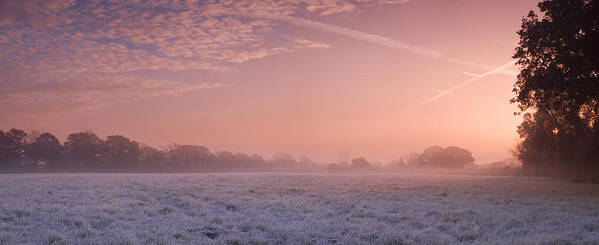 Frosty Pink Cold Landscape Field Trees Land England Sunrise Panoramic Panorama Gorgeous Beautiful Stunning Fantastic Wonderful Relaxing Breathtaking Moving Scenic Poster featuring the photograph Fresh Cool Morning by John Chivers
