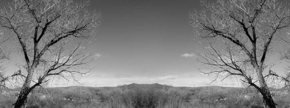 Landscape Poster featuring the photograph Altered Series - Two View into the Valley by Kathleen Grace