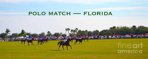 Polo Match Florida Poster featuring the digital art Polo Match Florida by Karen Francis