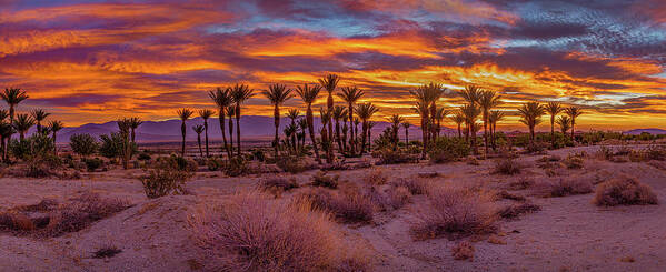 Anza-borrego Desert Poster featuring the photograph Sunrise - Borrego Springs by Peter Tellone
