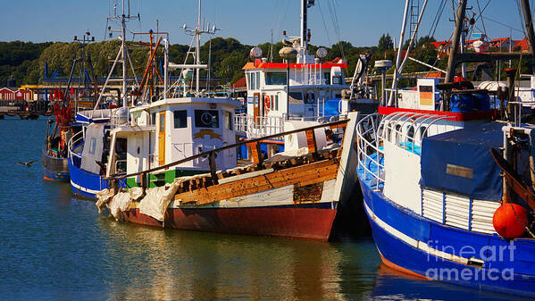 Colorful Poster featuring the photograph Fishing boats in a harbor by Nick Biemans