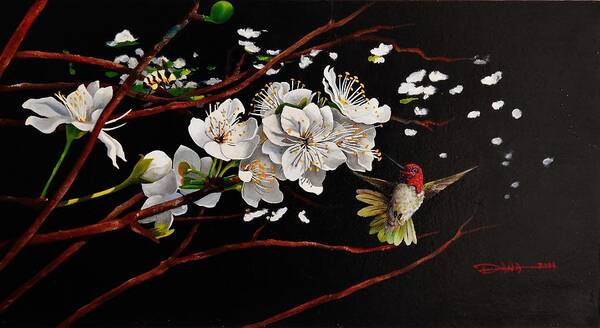 Birds Poster featuring the painting Plum blossoms and Anna's hummingbird by Dana Newman