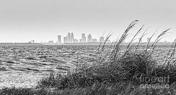 Tampa Bay Poster featuring the photograph Tampa Across The Bay by Marvin Spates