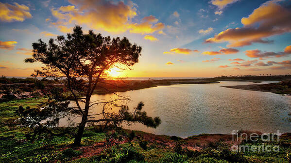 Batiquitos Lagoon Poster featuring the photograph What a Glow at the Batiquitos Lagoon by David Levin